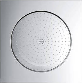 Душевая лейка Grohe 27467000